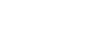 Raven last logo white